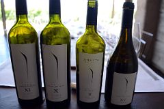 07-20 Wine Bottles Of Our Wine Tasting At Pulenta Estate On Lujan de Cuyo Wine Tour Near Mendoza.jpg